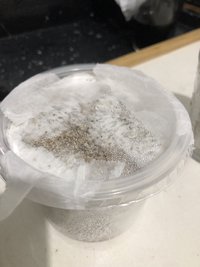 90A81489-CB5E-4473-B542-19011E0E6BD8.jpeg
