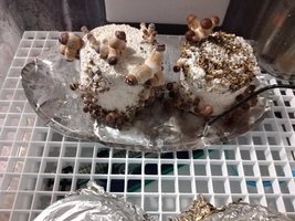 IMG_20221228_205438.jpg