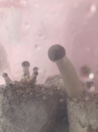 BFBA567E-FDBB-4108-ACBB-4FD450D8BD5E.jpeg