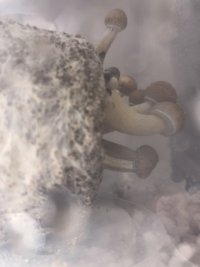 2562A039-1206-4019-85A0-F911E6CF82E9.jpeg