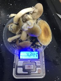 0285F692-9037-41AE-A359-E00821AAD28A.jpeg