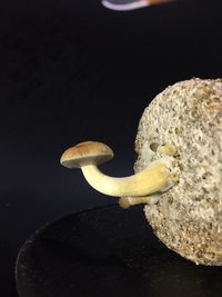 6E5A9942-BB4B-4208-912F-8B9AF9CA7B1B.jpeg