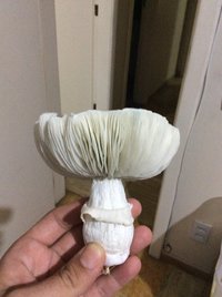E67971E3-E3F1-4044-9033-B70C75C00C8A.jpeg