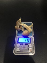 89C0E9DD-5AE3-4A78-84C4-298B4C543DF2.jpeg