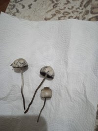 IMG_20230122_003137.jpg