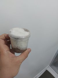20230120_173649.jpg