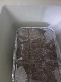 20230126_174709.jpg