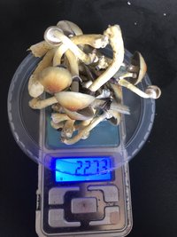 CA50013E-8513-4A5F-8C45-B1190CF2D2CC.jpeg