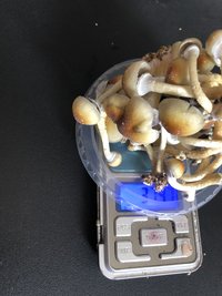 E5927736-DAC3-4E10-A6F2-9C91BC6E9F14.jpeg