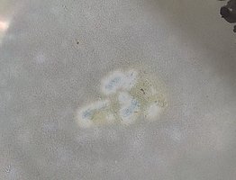IMG_20230204_185718.jpg