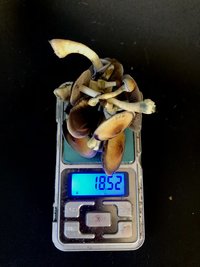 44D26FB6-E768-4ED6-B3E0-8C3CF138F5F4.jpeg
