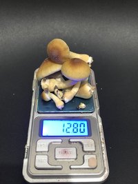 F4886E69-3202-45B4-9B0A-58AA5AC979EA.jpeg