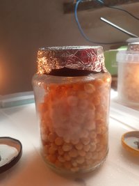 20230115_101142.jpg