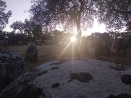 IMG_20230209_171914.jpg