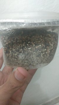 IMG-20230214-WA0019.jpeg