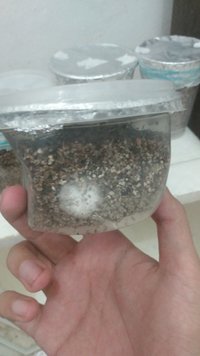 IMG-20230216-WA0014.jpeg