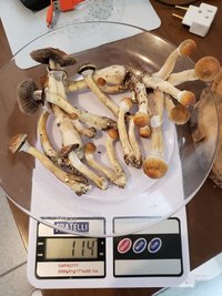 20230224_122903.jpg