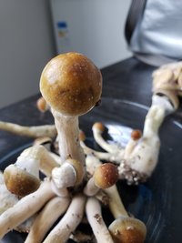 20230224_122706.jpg