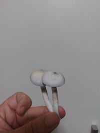 20230217_205007.jpg
