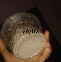 IMG-20230226-WA0067~3.jpeg
