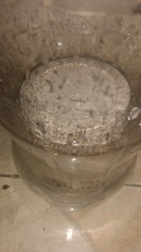 IMG-20230227-WA0029.jpeg