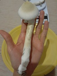 20230224_231134.jpg