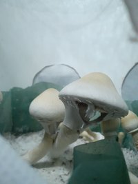 20230224_221858.jpg