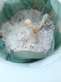 20230224_063210.jpg