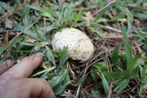 IMG_1164.jpg