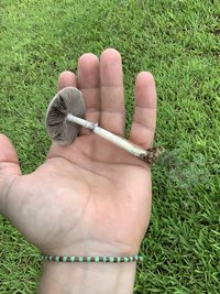 IMG_7028.JPG