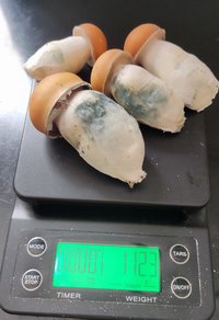 IMG_20230308_125249.jpg
