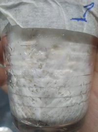 copo_1_amarelado_1.jpg