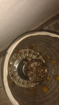 IMG-20230318-WA0109.jpeg