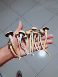 20230322_002939.jpg