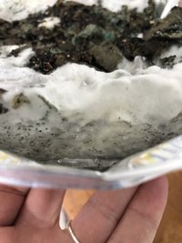 240252AC-85BD-4710-AA61-DAE84383775A.jpeg