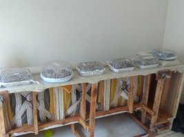IMG_20221219_093053706.jpg