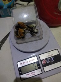 IMG_20230113_205512493.jpg