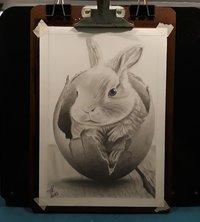 20230405_192138.jpg