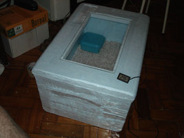 terrario1.jpg