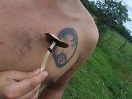 100_4543-médio.jpg