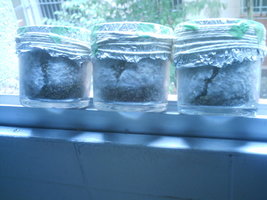 IMAG0022.JPG