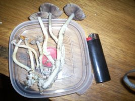 000_2427.jpg