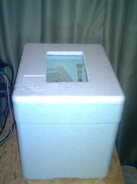IMAG0003-1.jpg