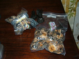 dscf1740.jpg