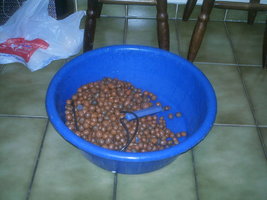 IMAG0064.JPG