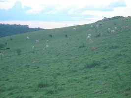 lugar02.JPG