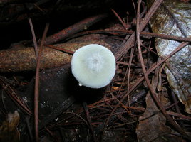 DSCN4501.JPG