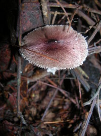 DSCN4494.JPG