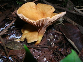 DSCN4490.JPG
