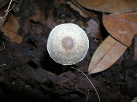 DSCN4472.JPG